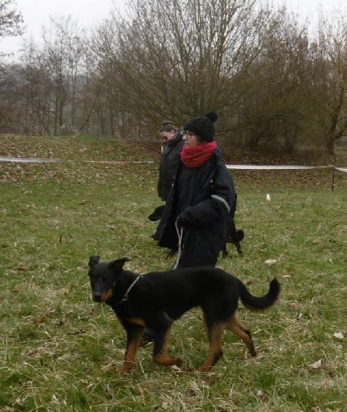 Mystic des Bergers de l'Oiseau Jaune - Très prometteur