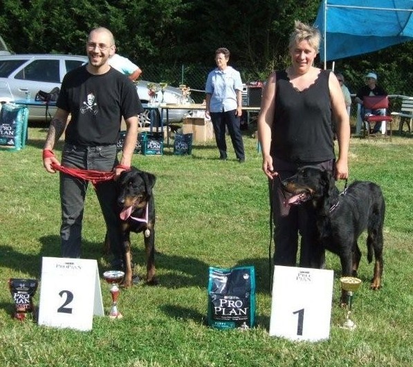 Crack Du grand maurian - 1er mâle classe jeune