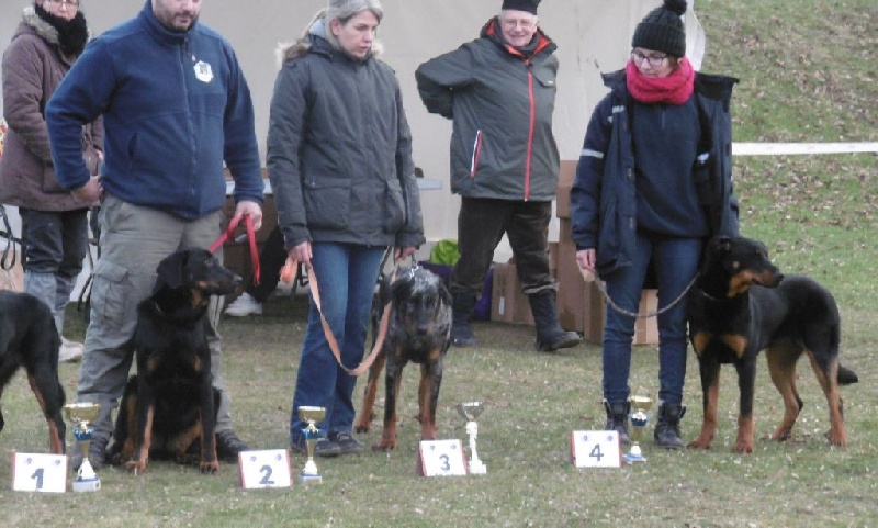 Mystic des Bergers de l'Oiseau Jaune - 4ème TP classe débutant