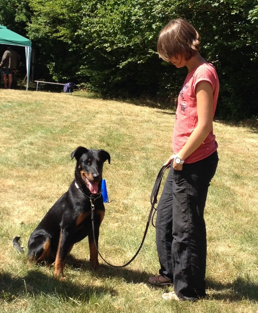 Mystic des Bergers de l'Oiseau Jaune - Excellent en morpho