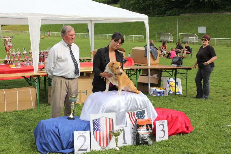 Publication : de Angel's of Carmine Auteur : Gaelle