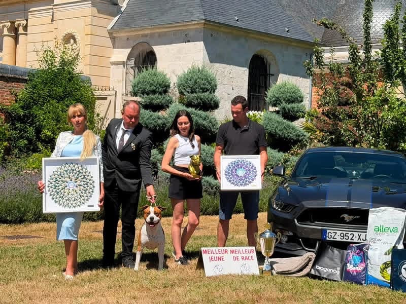 Int. J.Ch/Lux. J.ch. A Mr Peabody de Angel's of Carmine - 1er Exc- Meilleur Jeune- Meilleur de race - BIS