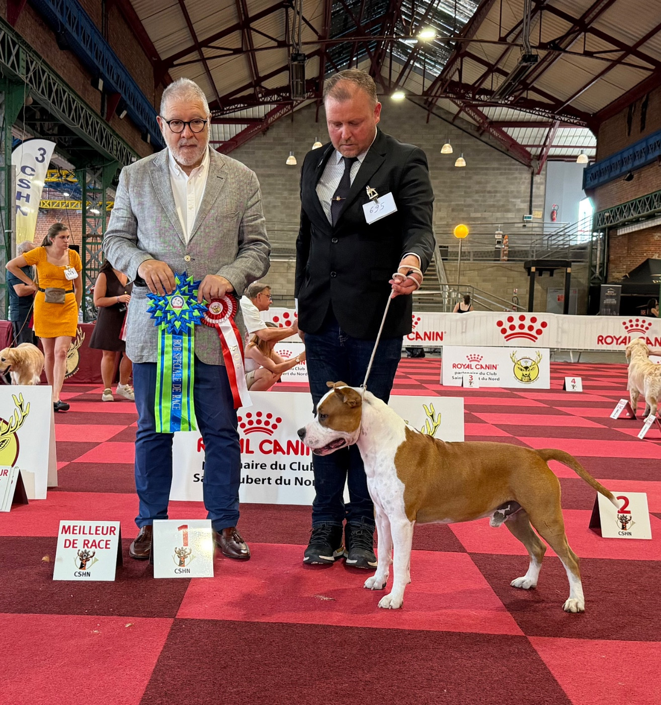 Int. J.Ch/Lux. J.ch. A Mr Peabody de Angel's of Carmine - 1er Exc- Meilleur jeune - Meilleur de race - CACIB J