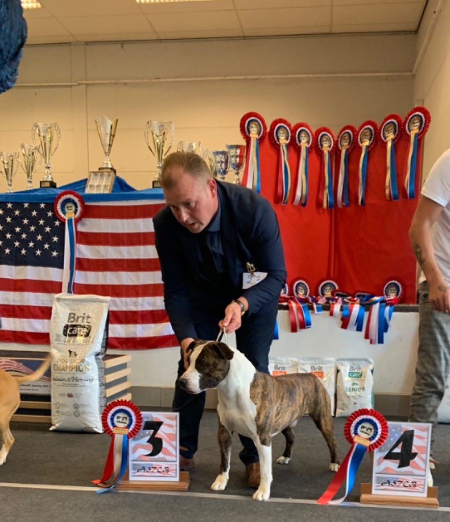 Jch. my heart for you dit bold de Angel's of Carmine - 3ème Exc