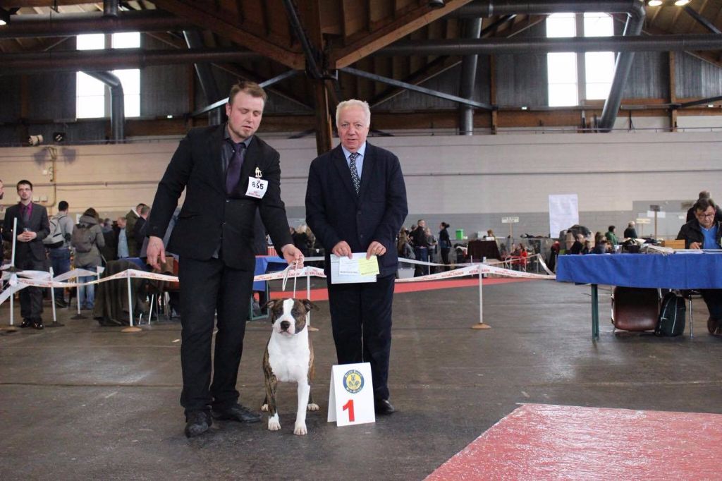 Jch. my heart for you dit bold de Angel's of Carmine - MEILLEUR JEUNE ** MEILLEUR DE SEXE OPPOSE