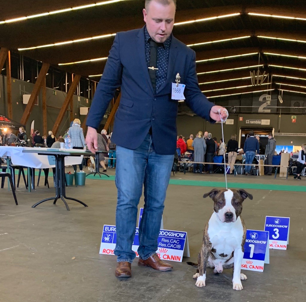 Jch. my heart for you dit bold de Angel's of Carmine - 1er Exc-R.CAC-RCACIB