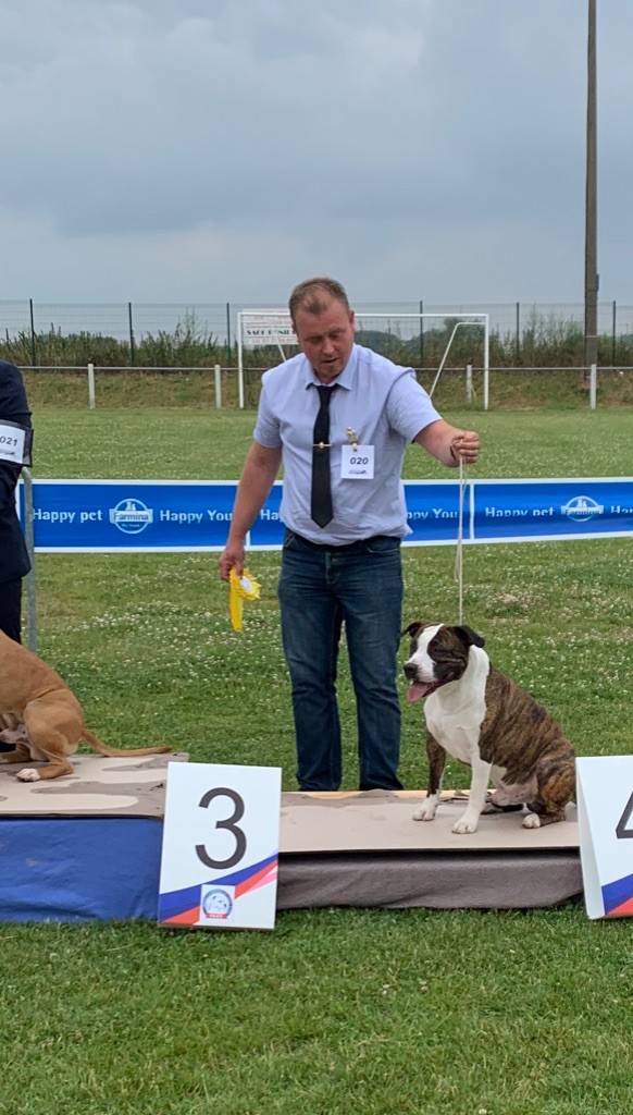 Jch. my heart for you dit bold de Angel's of Carmine - 3ème VG