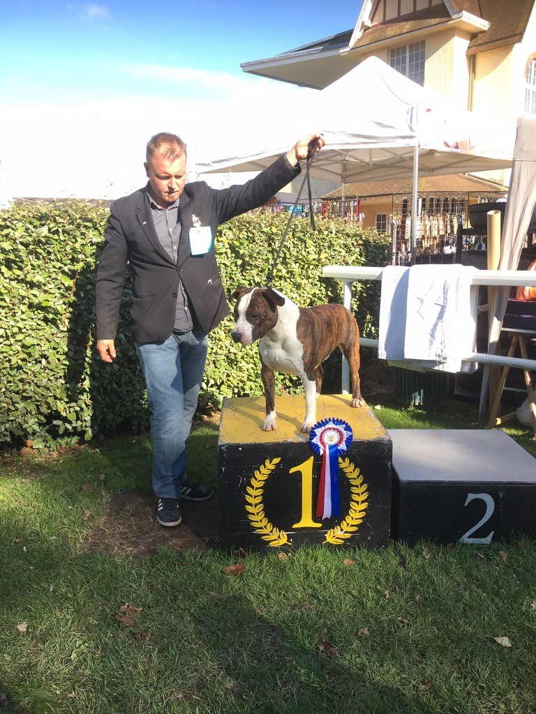 Jch. my heart for you dit bold de Angel's of Carmine - 1er Exc * R CAC