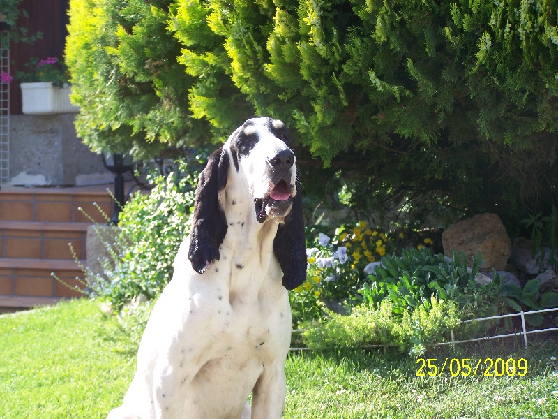 Publication : de l'écho de Bure