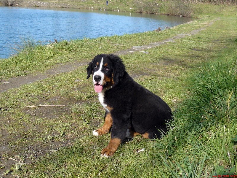 Candy de la chaîne des pyrénées