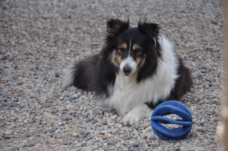 Crystal dark Of Connemara's Highlands