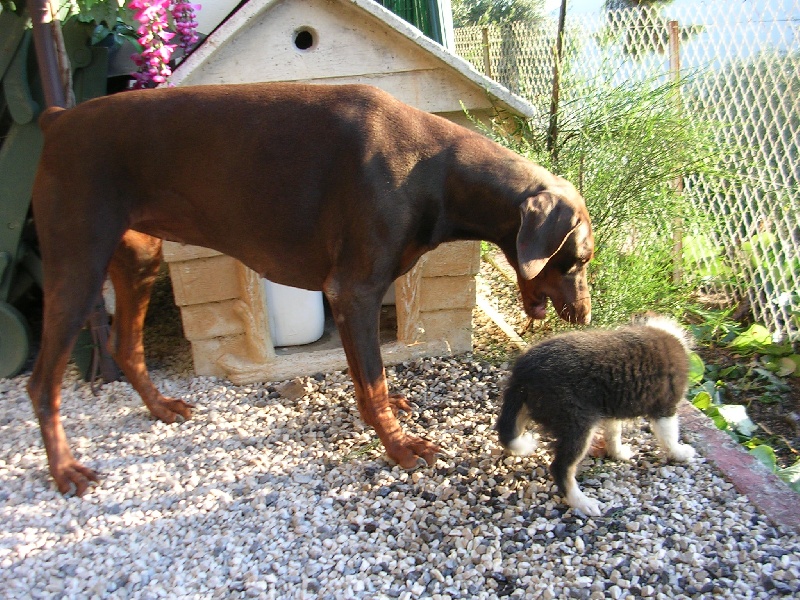 Crystal dark Of Connemara's Highlands