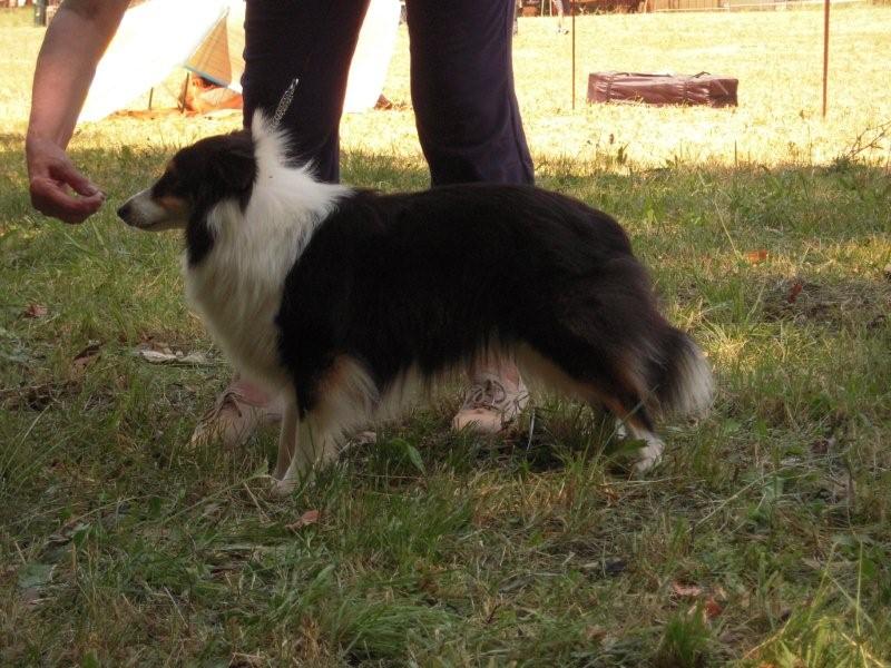 Crystal dark Of Connemara's Highlands