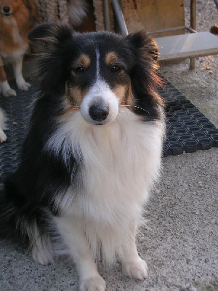 Crystal dark Of Connemara's Highlands