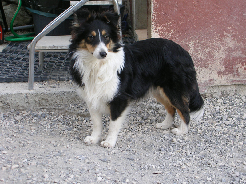 Crystal dark Of Connemara's Highlands