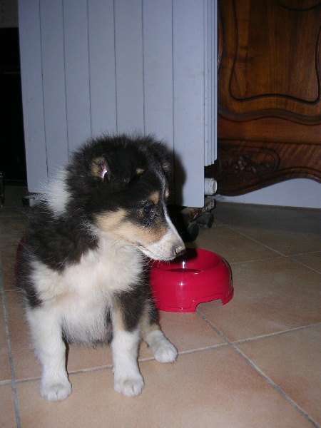 Crystal dark Of Connemara's Highlands