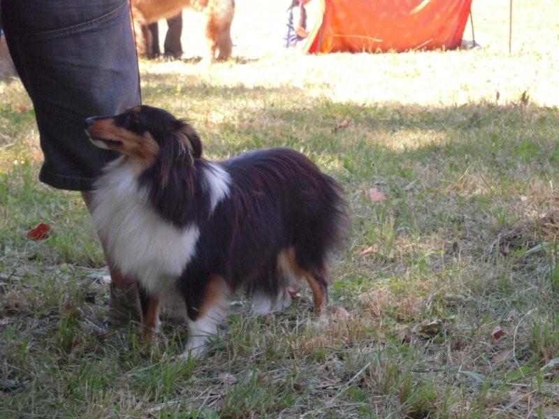 Crystal dark Of Connemara's Highlands