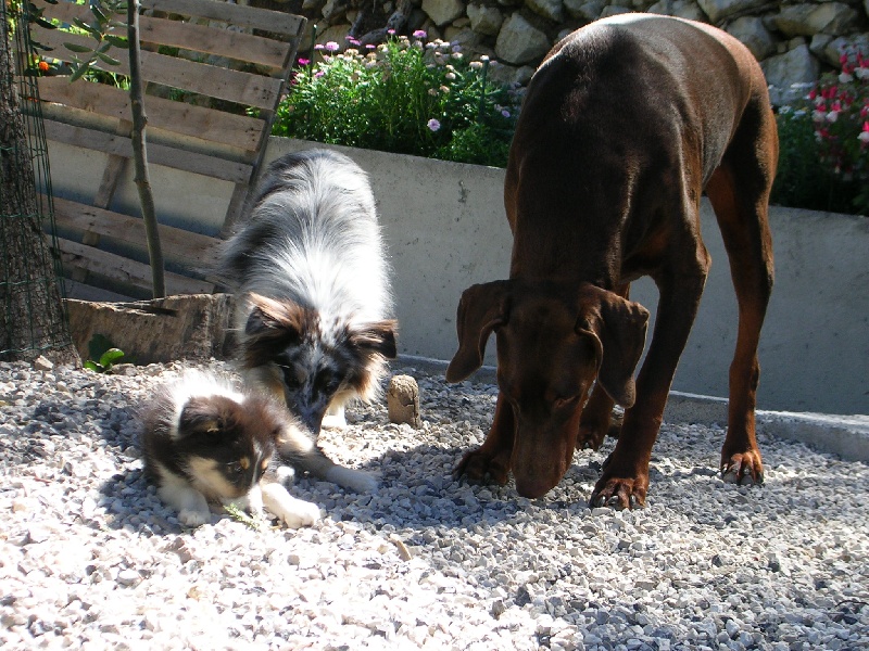 Crystal dark Of Connemara's Highlands