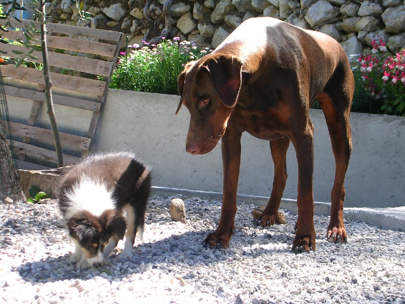 Crystal dark Of Connemara's Highlands