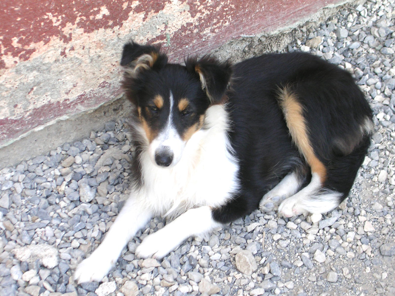 Crystal dark Of Connemara's Highlands