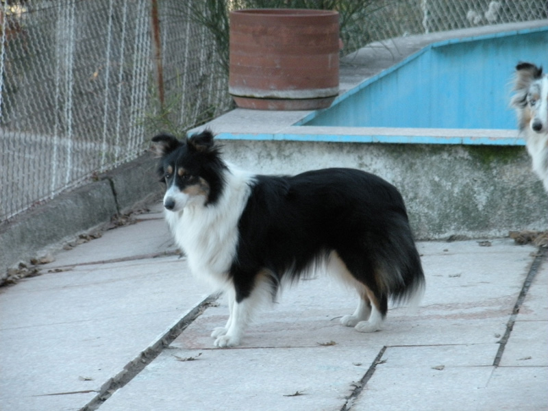 Crystal dark Of Connemara's Highlands