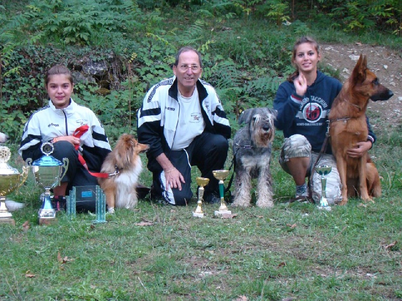 Darling dulcinéa miel dite princesse Du caire de la prairie - Jumping 2ème EXC