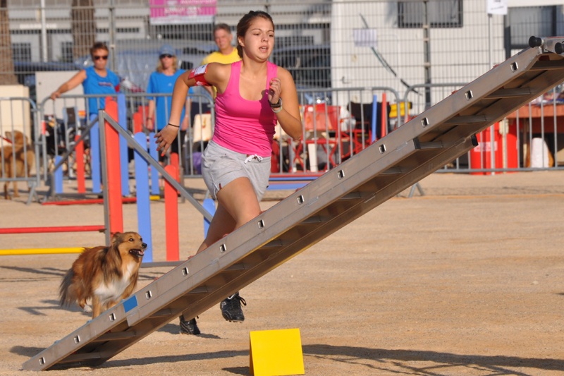 Darling dulcinéa miel dite princesse Du caire de la prairie - 2ème degré Catégorie A Junior 1er EXC