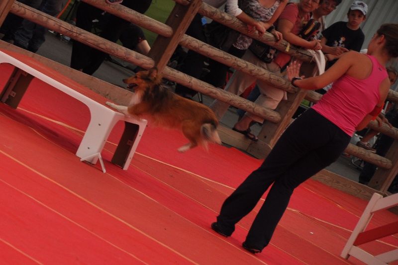 Darling dulcinéa miel dite princesse Du caire de la prairie - 1er degré 2ème EXC sans faute