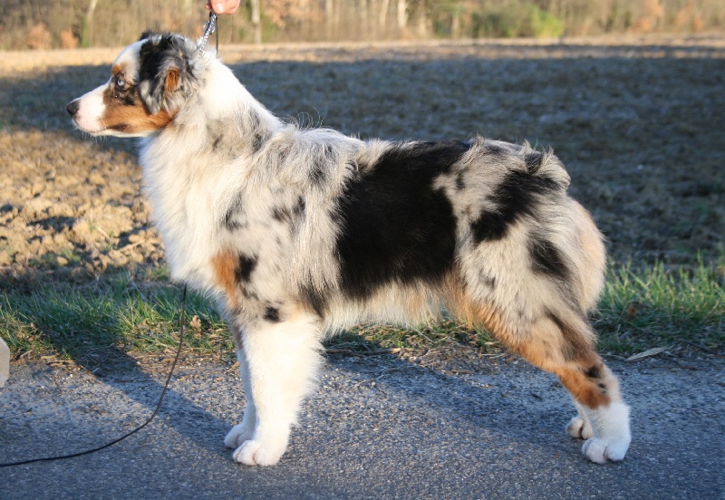 D day normandy de Solemel