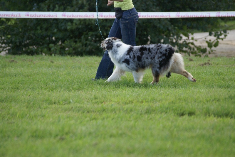 Publication : de Solemel Auteur : Laurence Aries