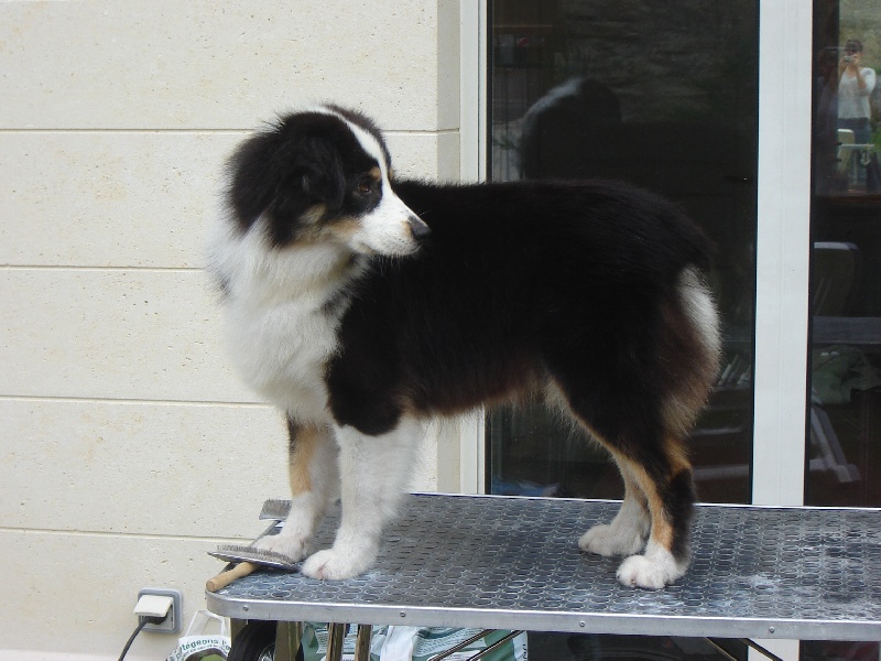 Publication : de Solemel Auteur : Laurence Aries