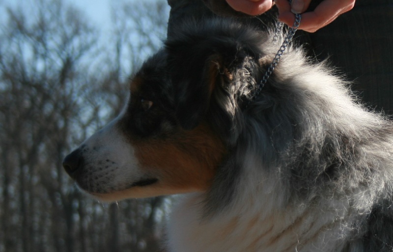 Usa my fair lady de Solemel