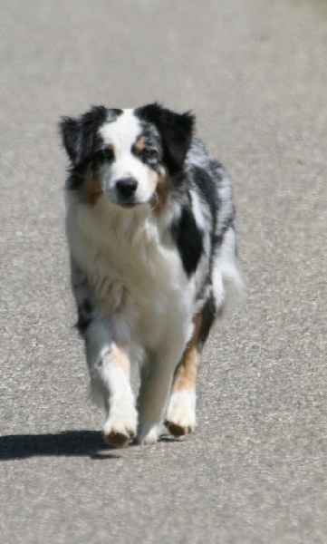 Carlsbad caverns sword of damocles de Solemel