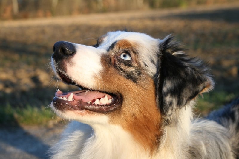 D day normandy de Solemel