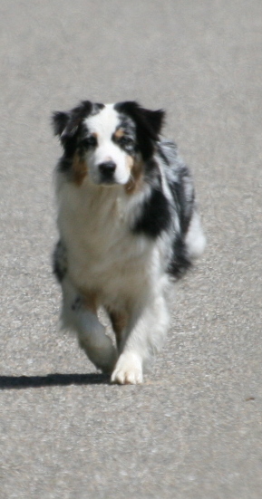 Carlsbad caverns sword of damocles de Solemel