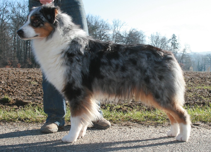 Usa my fair lady de Solemel