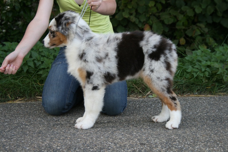 D day normandy de Solemel