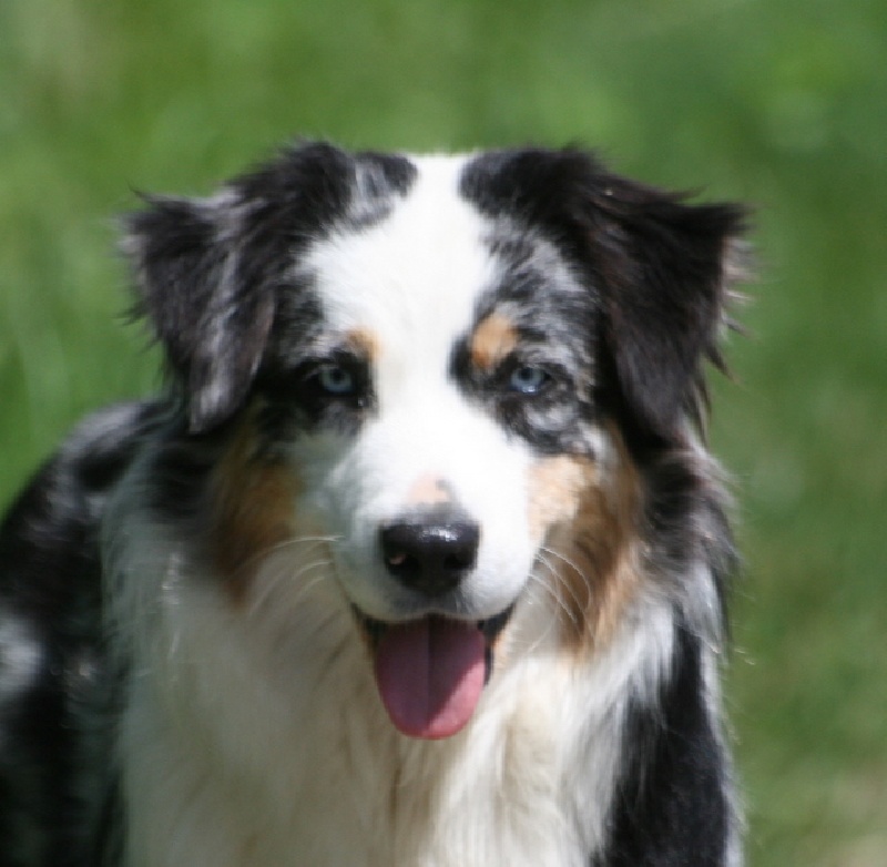 Carlsbad caverns sword of damocles de Solemel