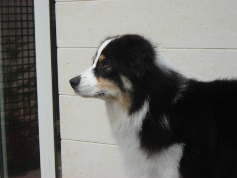 Publication : de Solemel Auteur : Laurence Aries