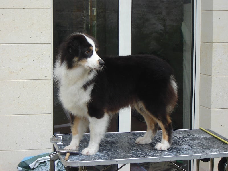 Publication : de Solemel Auteur : Laurence Aries