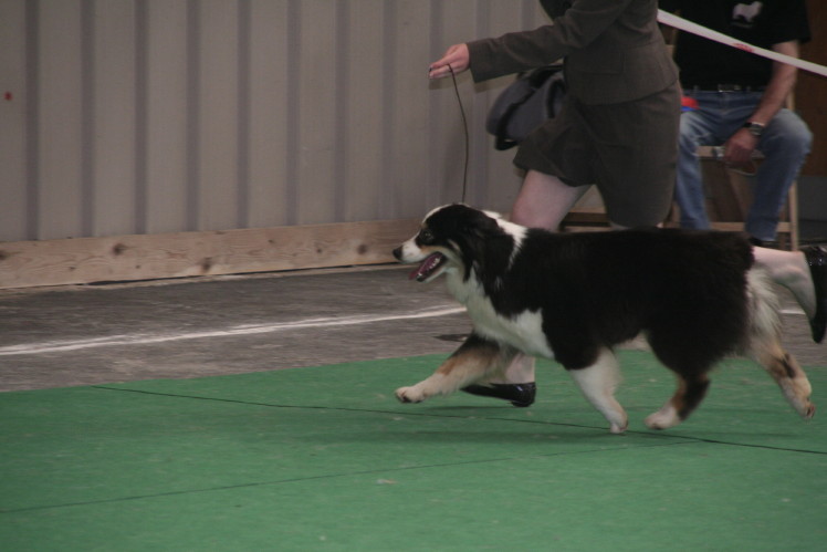 Publication : de Solemel Auteur : Laurence Aries