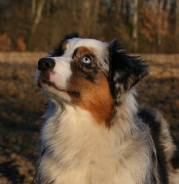 D day normandy de Solemel