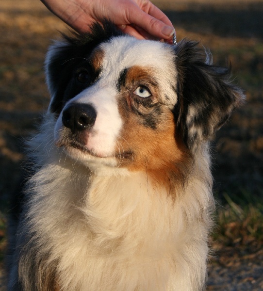 D day normandy de Solemel