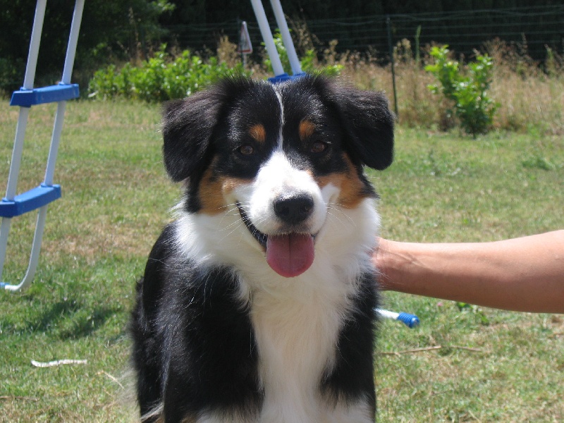 Victory dance de Solemel