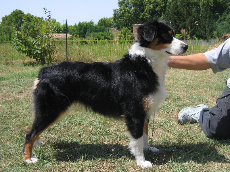 Victory dance de Solemel