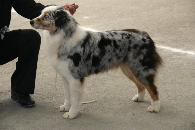 Publication : de Solemel Auteur : Laurence Aries