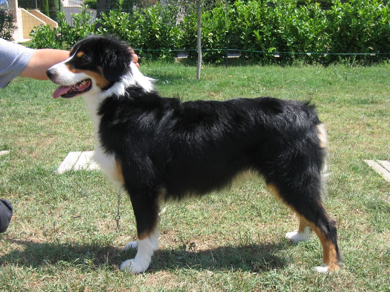 Victory dance de Solemel