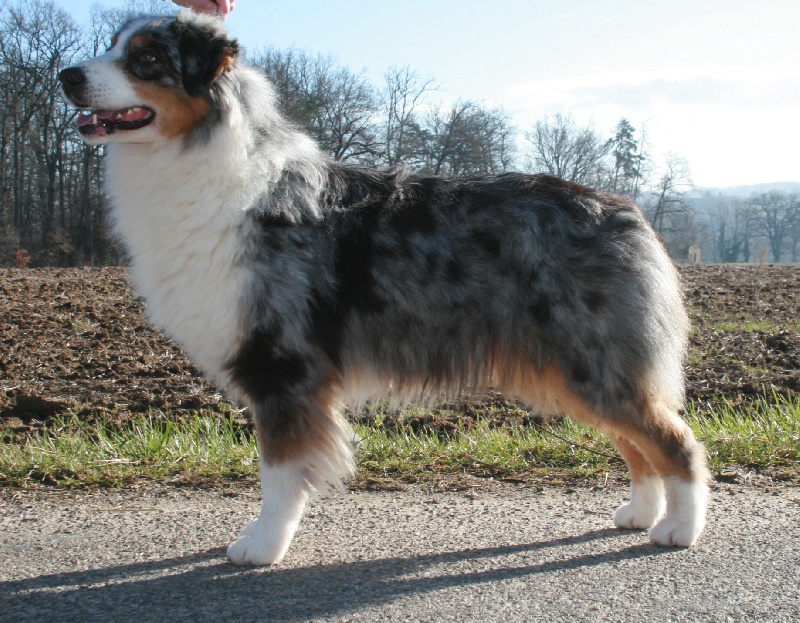 Usa my fair lady de Solemel