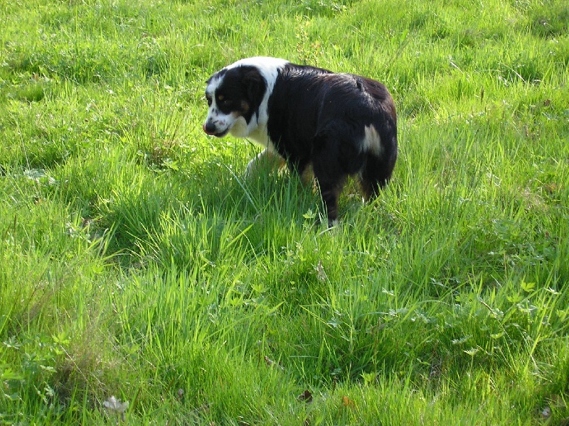 Publication : de Solemel Auteur : Laurence Aries