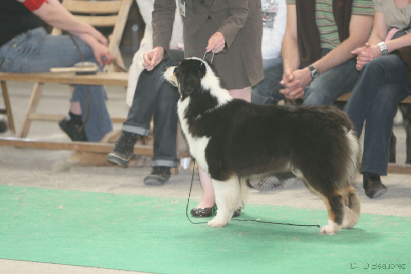 Publication : de Solemel Auteur : Laurence Aries